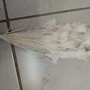 Feather Spiky White