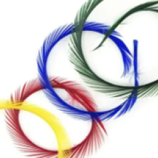 Biot Feathers